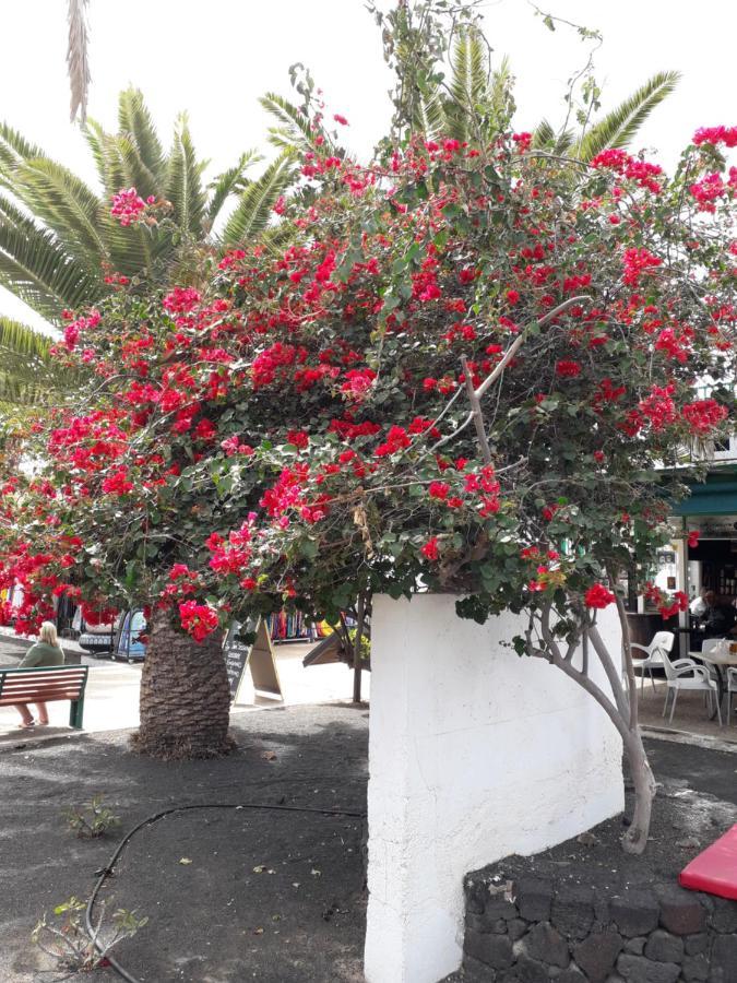 Sunny Self-Catering Apartment Costa Teguise, Lanzarote, Spain Екстер'єр фото